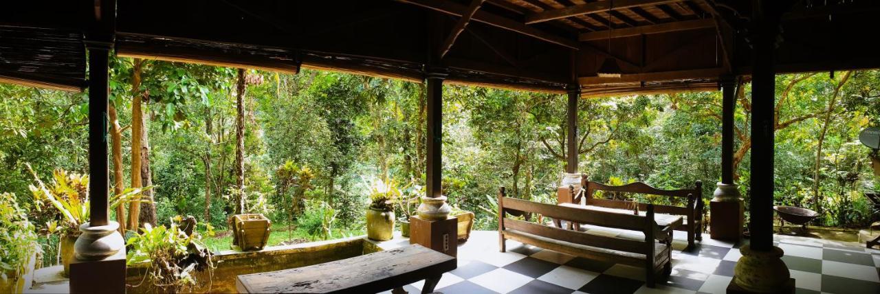 Happy Ria Homestay & Guesthouse Букит-Лаванг Экстерьер фото