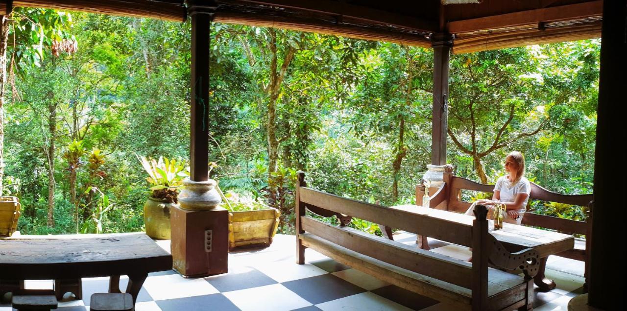 Happy Ria Homestay & Guesthouse Букит-Лаванг Экстерьер фото